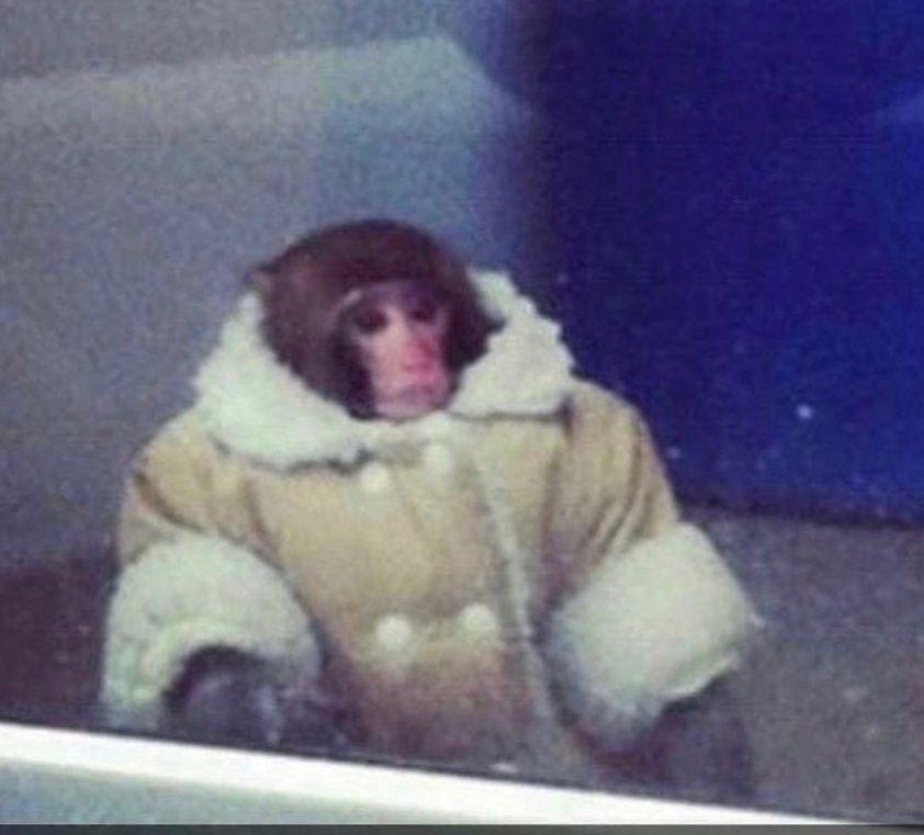 RocaSenor's tweet image. Sensación térmica en Cartagena: 3°C #Uffff