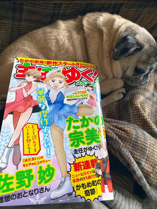 主任がゆく!スペシャル発売しております。
ウチパグは変顔選手権。早速優勝してるお茶目ですがよろしくお願いいたします! 