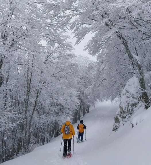 Do you know the winter side of Sicily ?
📸 Madonie a passo lento 
#visitsicilyinfo #Madonie #snow #snowfall #sicily