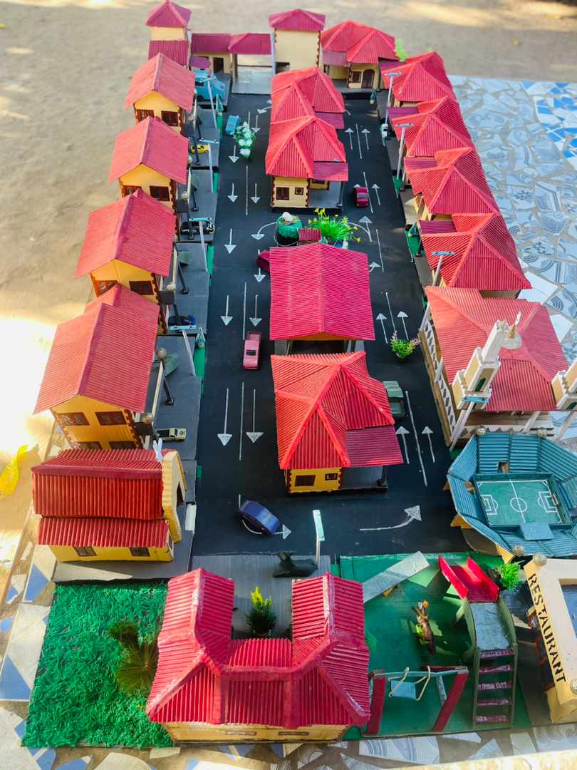 Ebrima Kambi's Talent can't go unnoticed!

The young talented Ebrima who is a resident of Brikama Nema has designed an Estate named S&amp;S Properties using the following items:
Carton
Glue ( 3 types)
Brushes
A⁴ Size paper
Bahama Grass
Flowers
Vanguard's 
Paints