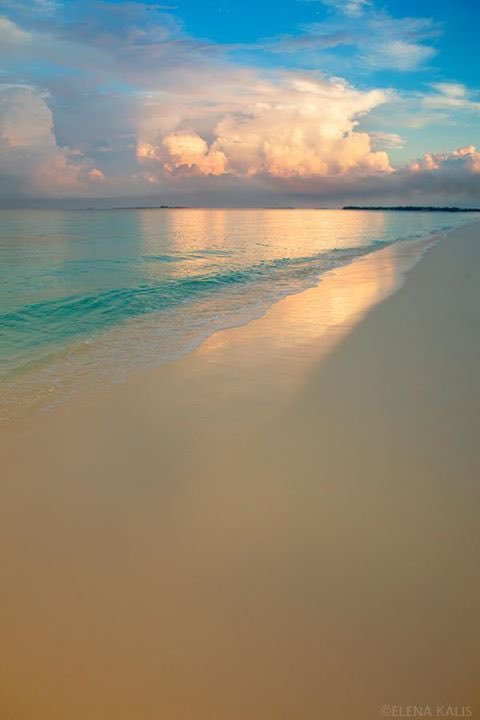 Good morning !
#photos #photography #morning #sunrise