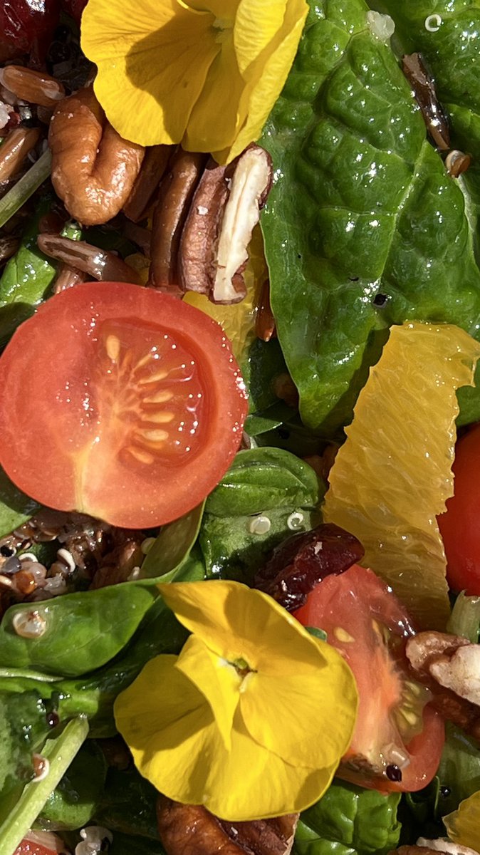 arto_coffee's tweet photo. wild rice &amp; Qinuoa Salad 🥗 
This fresh and healthy salad is like a taste of summer you can enjoy all year round. #artocoffee #coffee #breakfast #Foodies #salad #dubai #dubaimall #cafe #bestfood https://t.co/hrksG6Ipkc