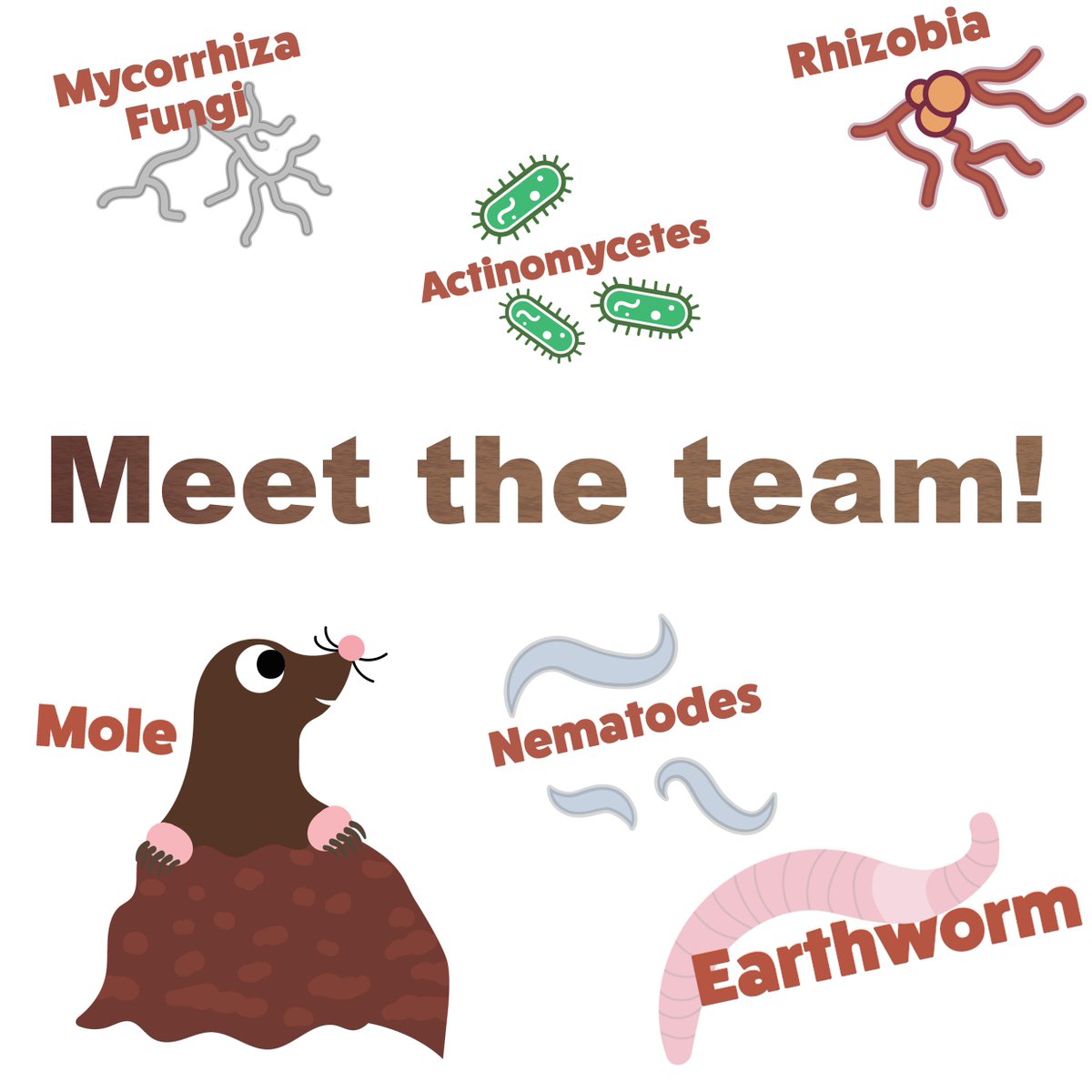 Learn more about the team behind 'Dirty Matters the soil game' on our website:
soilgame.wixsite.com/free2print/abo…

#soil #boardgames #diy #science #soilgame #soilscience #seriousgame