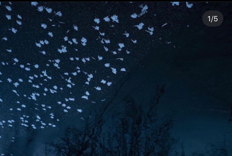 Antonin Charbouillot tweet media