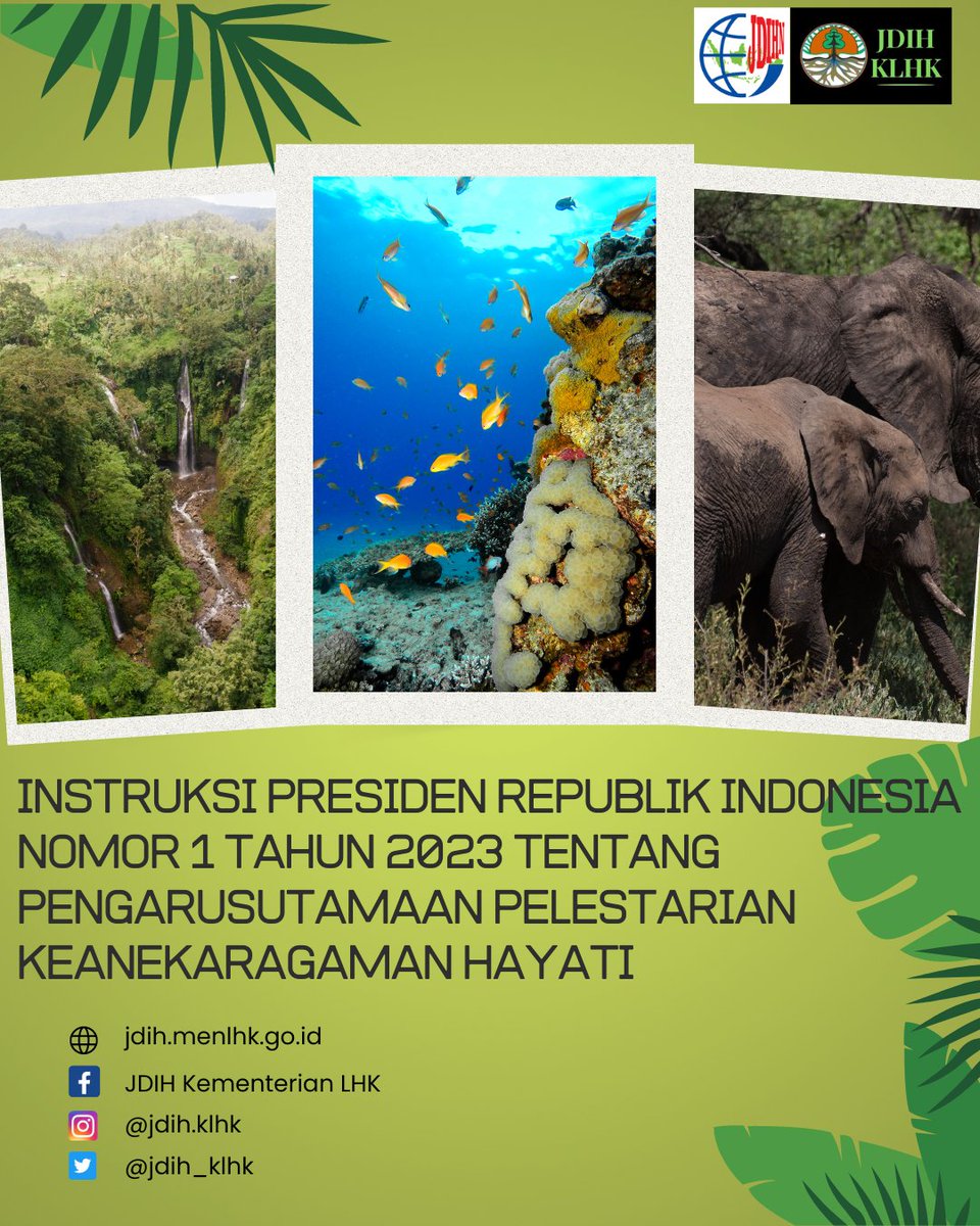 Instruksi Presiden RI Nomor 1 Tahun 2023 sudah dapat diunduh di website JDIH Kementerian LHK
jdih.menlhk.go.id
--
#kementerianlhk
#jdihklhk
#birohukumklhk
#keanekaragamanhayati 
#keanekaragamanhayatiindonesia