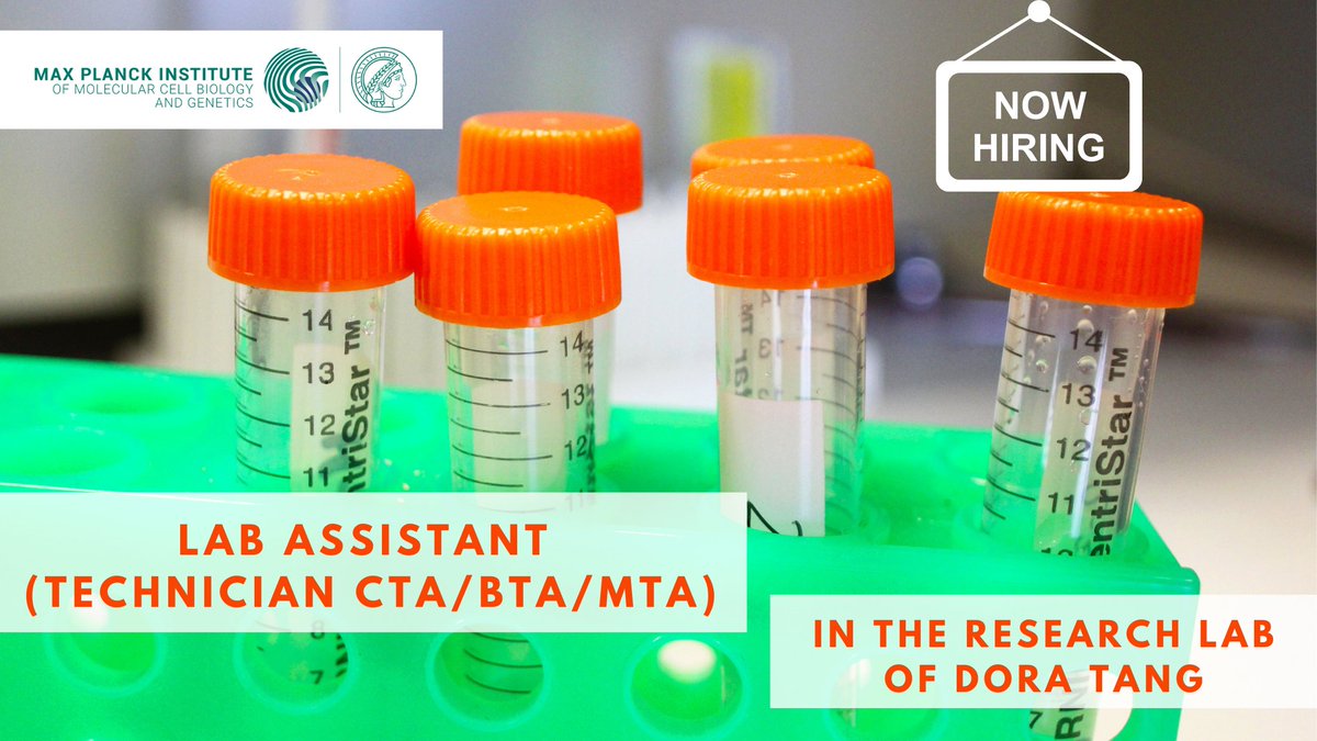 The research group of Dora Tang at MPI-CBG is looking for a Lab Assistant (Technician CTA/BTA/MTA) in dynamic protocellular systems. The Tang group uses bottom-up approaches to synthesise artificial cells with life-like properties. Apply by February 15th. mpi-cbg.de/join-us/open-p…