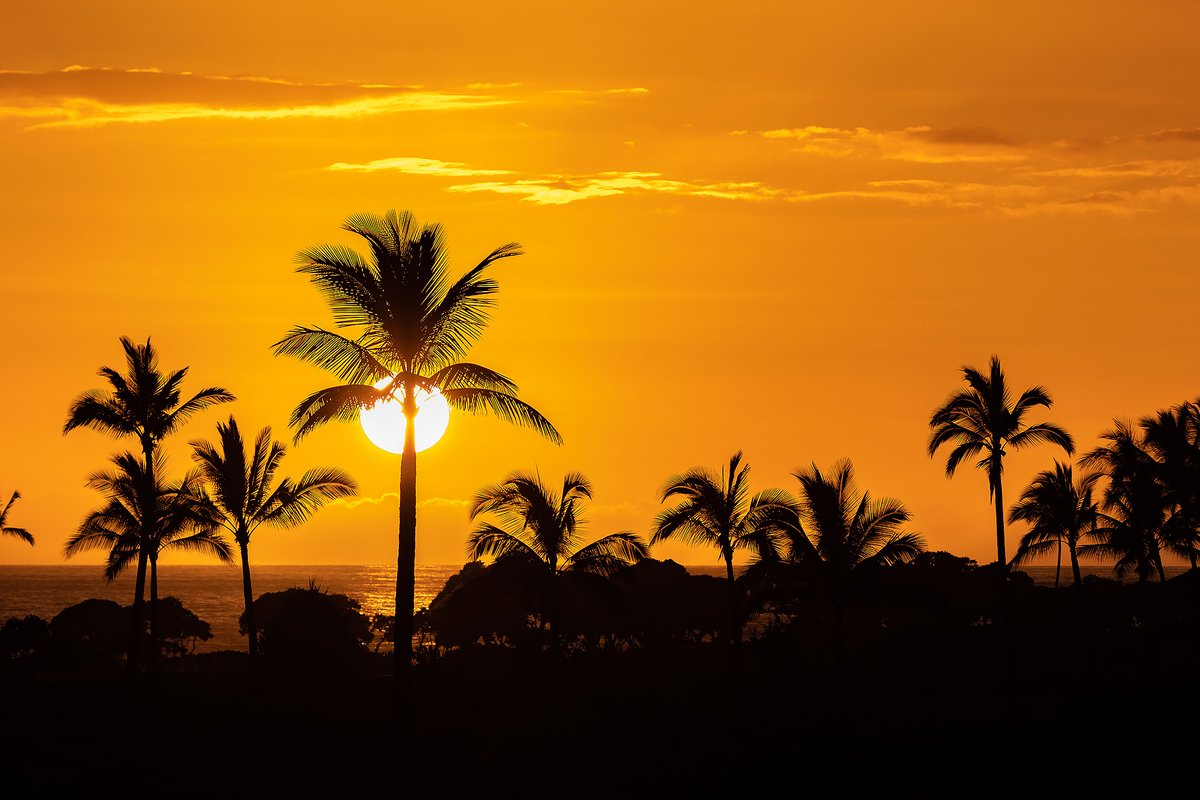 The day is done—goodnight from Hawaii.

#aloha #sunset #quietitude