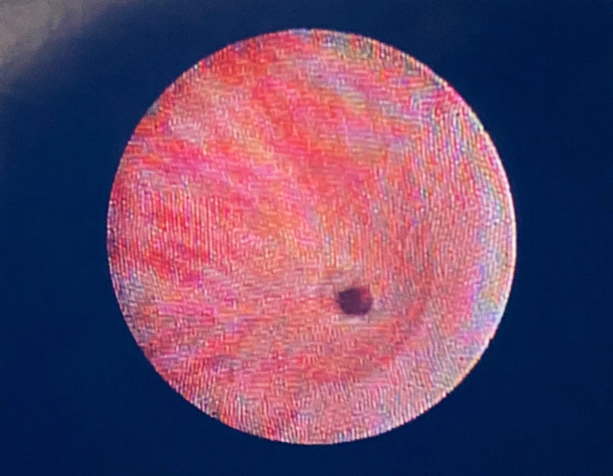 Ricardo R Gonzalez MD tweet media