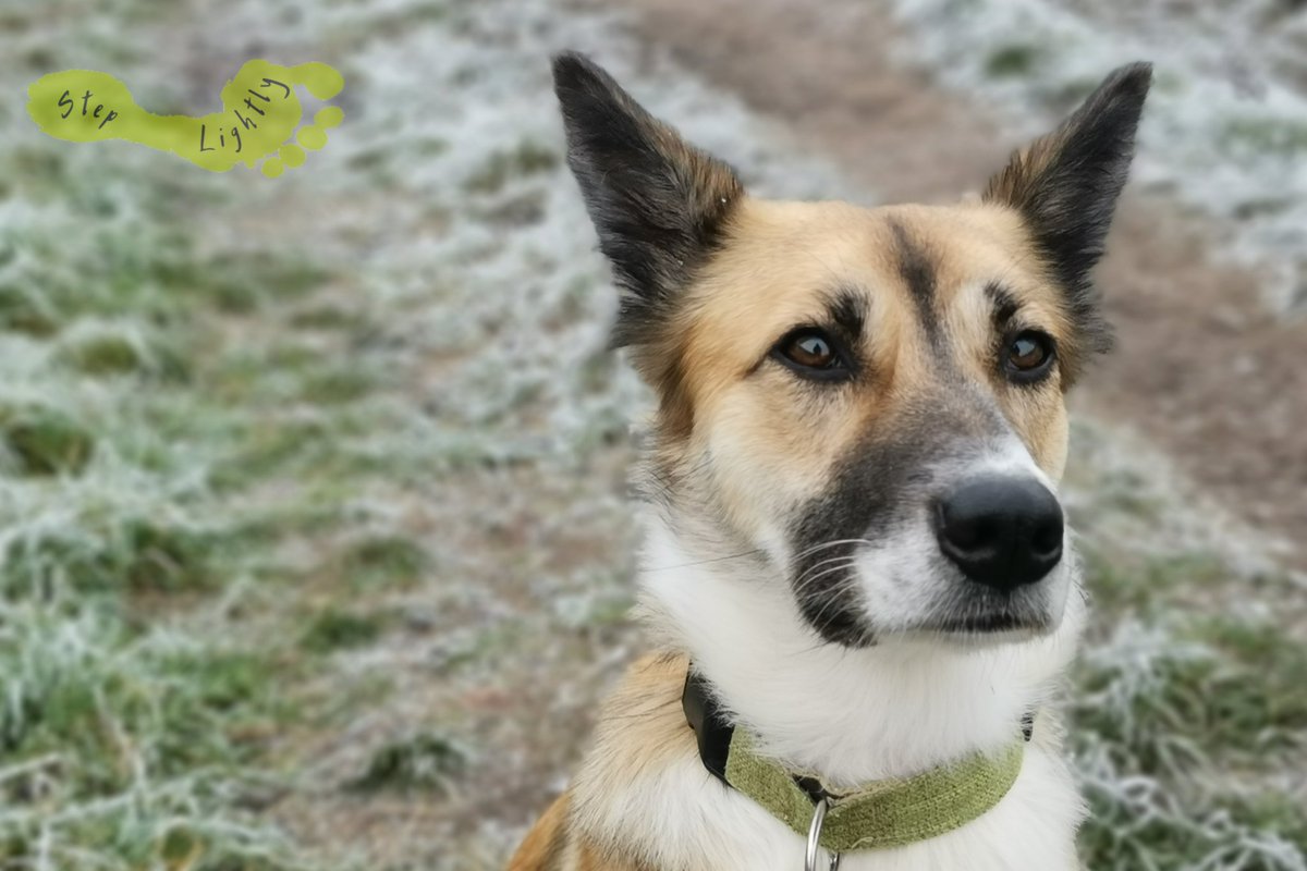 steplightlyh's tweet image. Morning all, that was a chilly weekend.
Remember, consume less, give back more and leave your old ways at the door 💚🌏