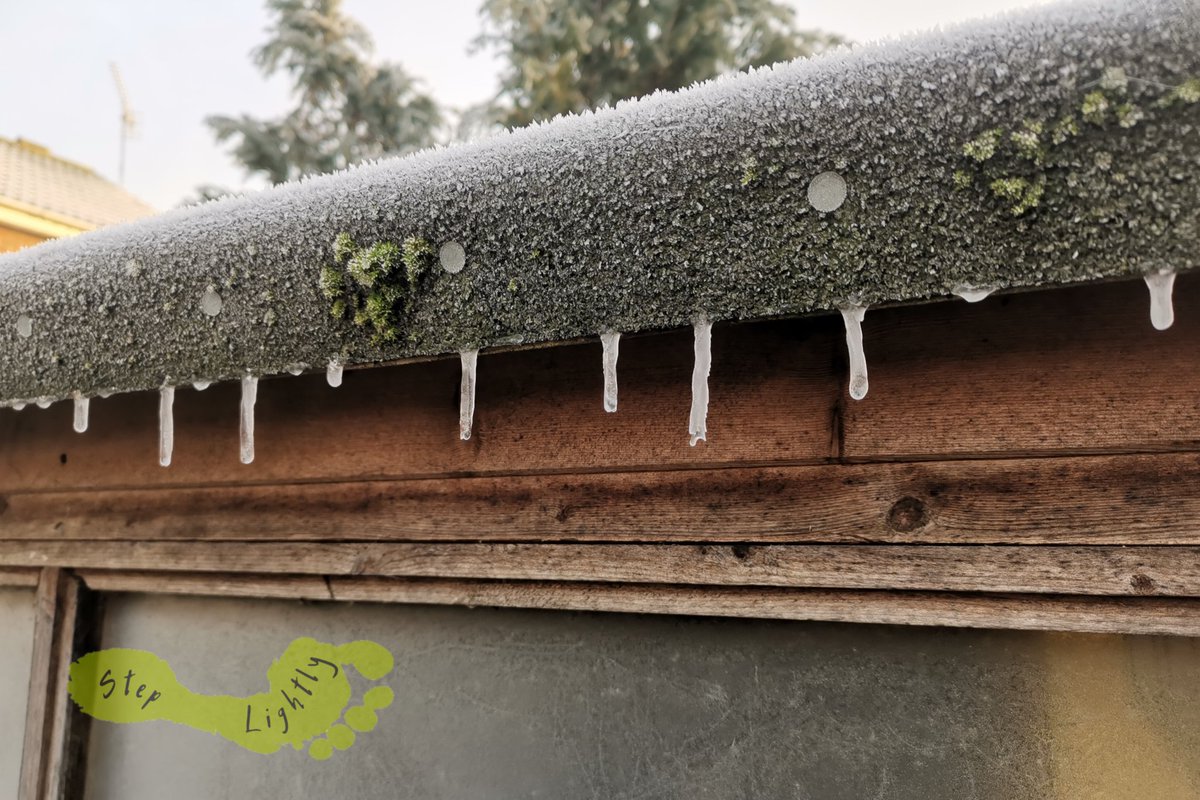 steplightlyh's tweet image. Morning all, that was a chilly weekend.
Remember, consume less, give back more and leave your old ways at the door 💚🌏