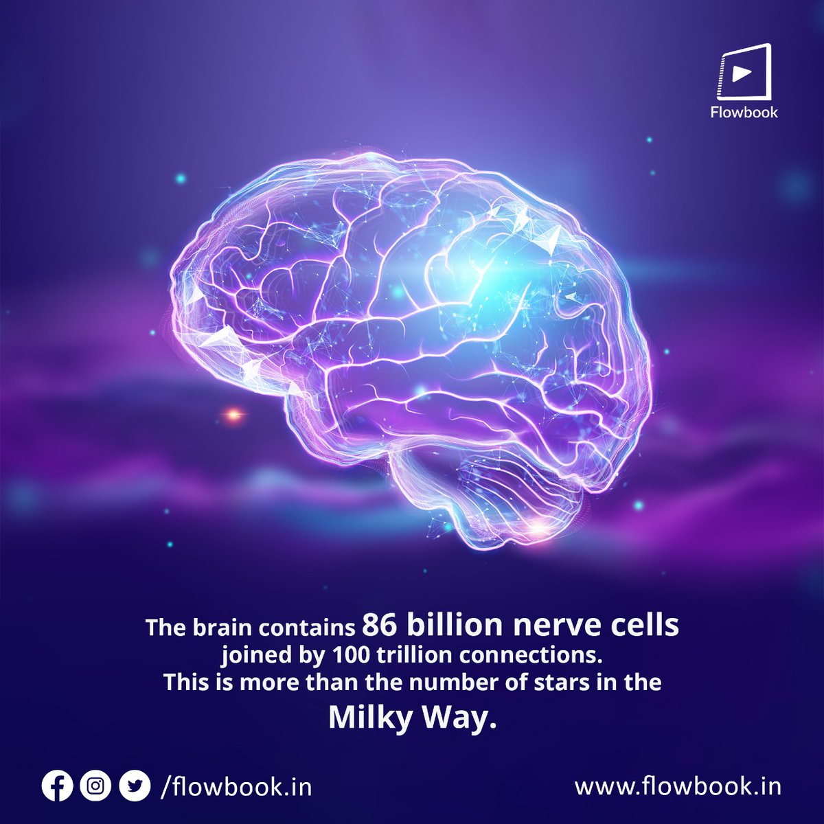 FlowbookIn's tweet image. Multiplying 100 billion neurons times 40,000 synapses is equivalent to the brain having more connections in it than there are stars in the universe.

For more such facts, follow now! 

#Flowbook #Biology #FunFacts #Educational #DidYouKnow #HumanBrain #Knowledge #CBSE #FunFacts