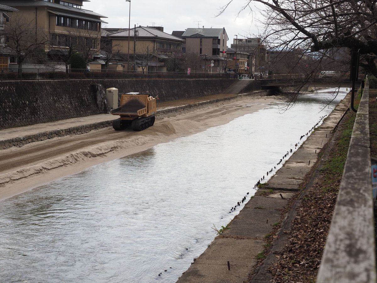 kyotoshidoubut1's tweet photo. ただいま疏水は浚渫中。そして、噴水池でオオバンやマガモを見かけます。この時期「はたらくくるま」が人気スポットの一つに。
#京都市動物園 #kyotocityzoo #疏水浚渫 #オオバン #マガモ #はたらくくるま #Sosui #Dredging #coot #Mallard #servicevehicle https://t.co/APhmsJxNZH