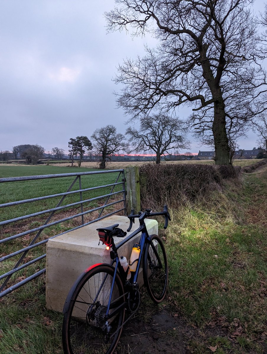 Chris Higham tweet media