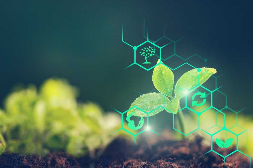 Agritech forces gain ground across Africa. Find out more here ow.ly/ltAz50Myxgk. #IoT #Internetofthings #AgriTech #Industrynews #Technology