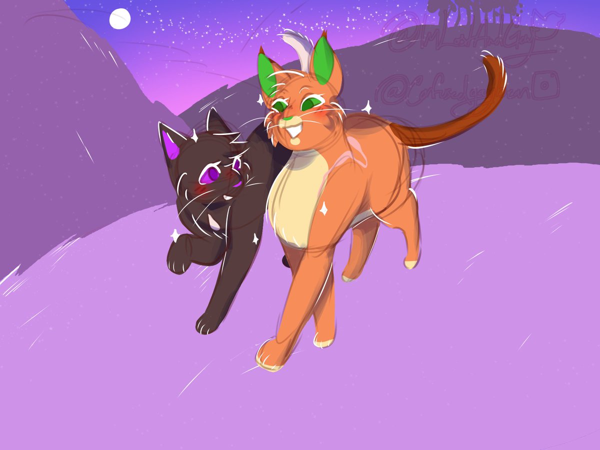 I drew this Sunday night but didnt wanna post too much in one go lol. But here is some well timed Firestar x Ravenpaw in StarClan lol #weeklywc @Fourtrees_WC