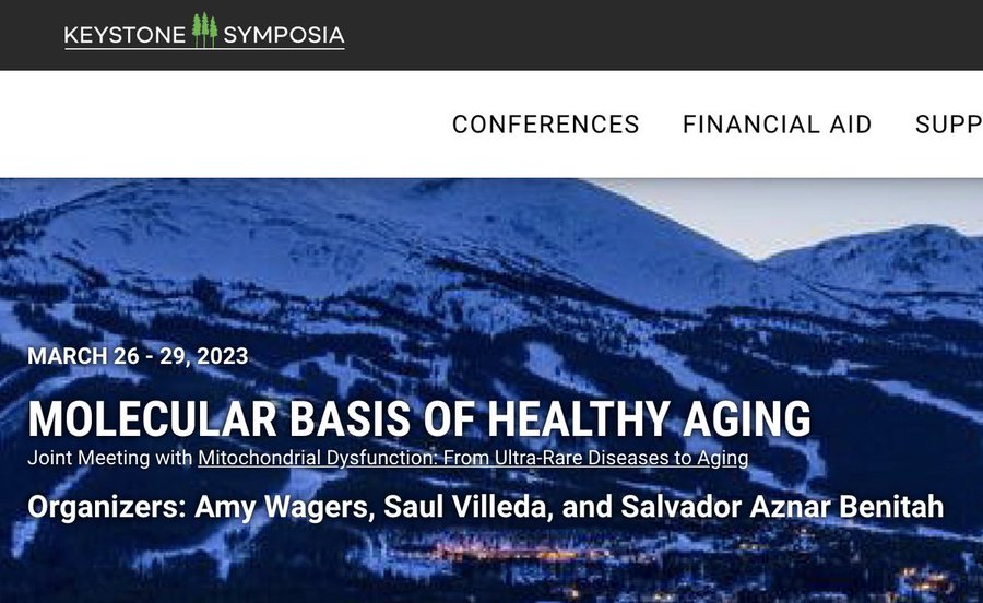 IRBBarcelona's tweet photo. 📌@KeystoneSymp #KSAging23 Molecular Basis of Healthy #Aging:
✅Organized by Amy Wagers @harvardstemcell, @VilledaLab & @SalvadorAznar3
🗣️With talks by Manuel Serrano & @SalvadorAznar3 #IRBBarcelona
📆26-29 March
Registration deadline tomorrow!➡️https://t.co/7V71aKhrIu https://t.co/2EM09pf5Rv