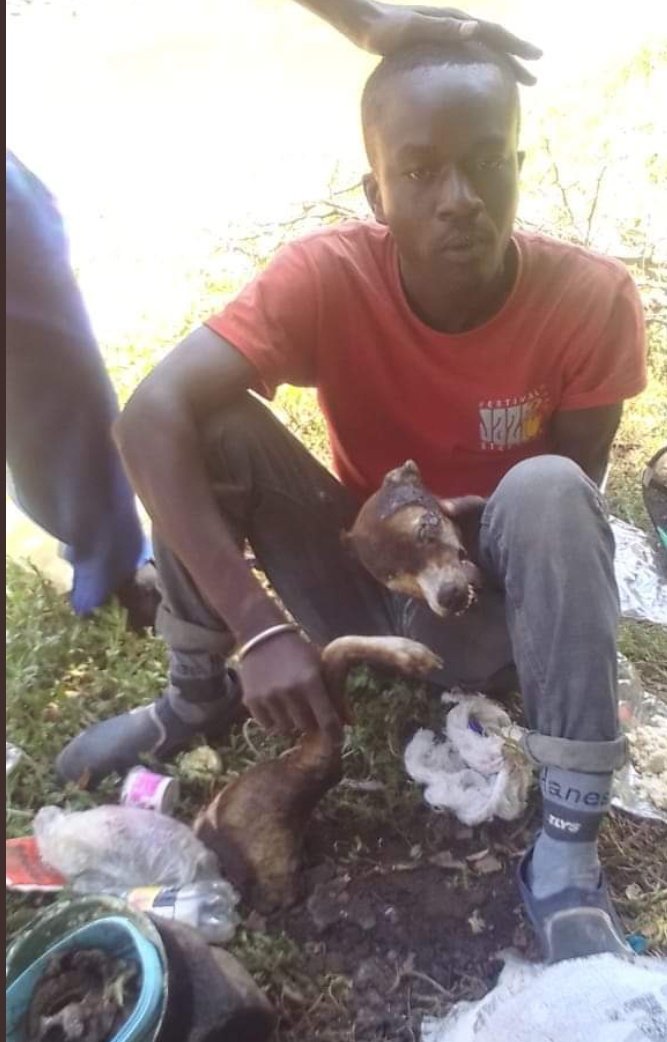 OmbunaJoshua's tweet photo. @Goddie_Ke Man cought cooking dog in kisii! 
Wakisii mnatusumbua sana😏😏 https://t.co/oviCr9pmq1