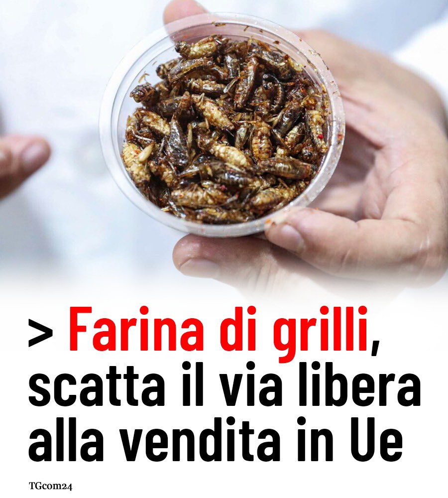 Matteo Salvini tweet media
