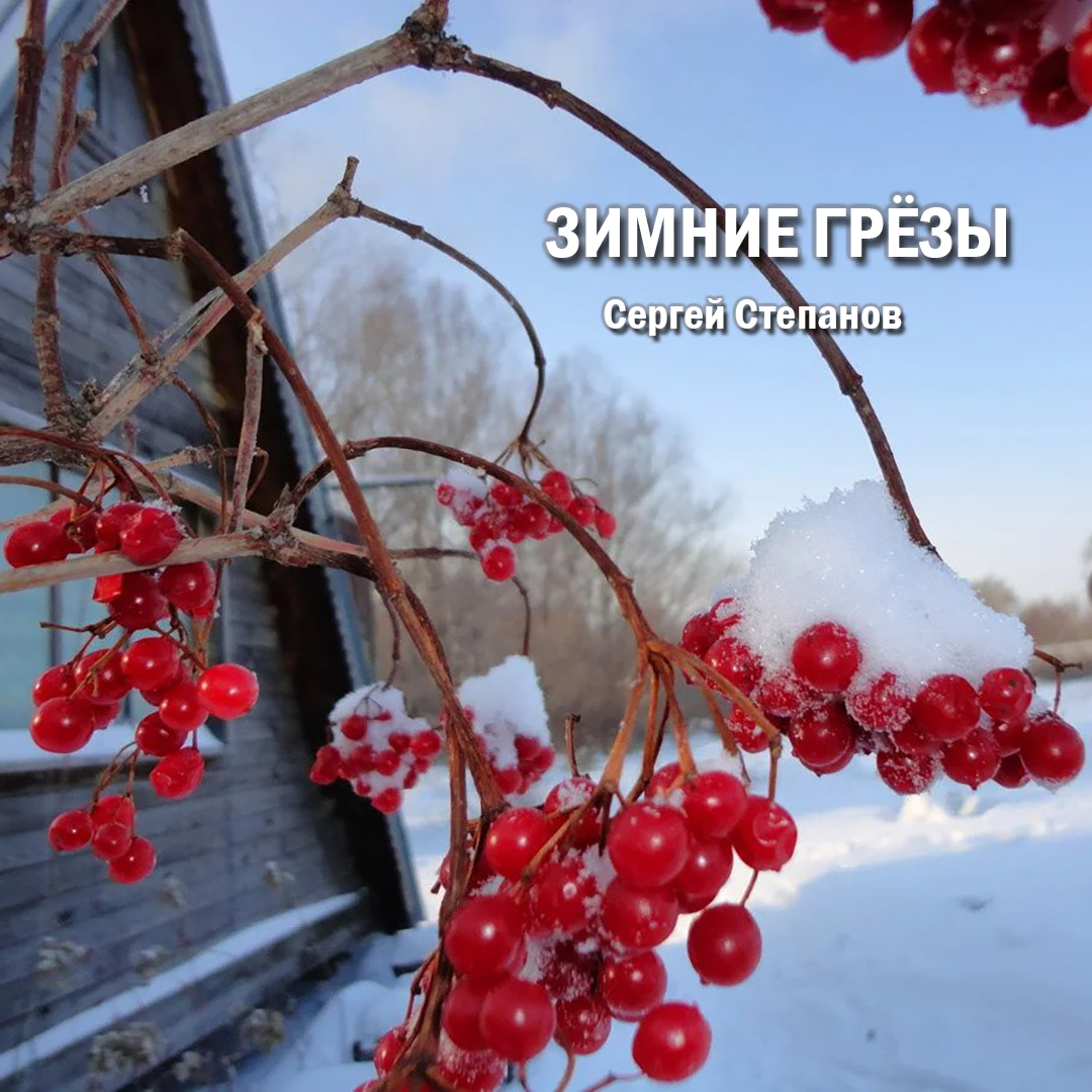 Куст калины зимой