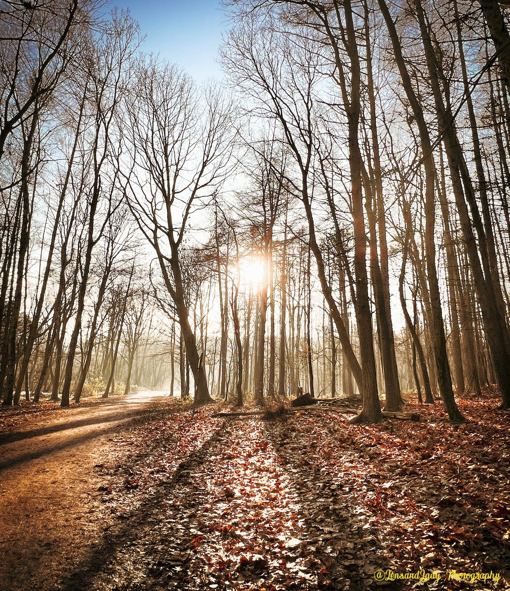 Morning Twitter….. taken yesterday at Newmillerdam County Park