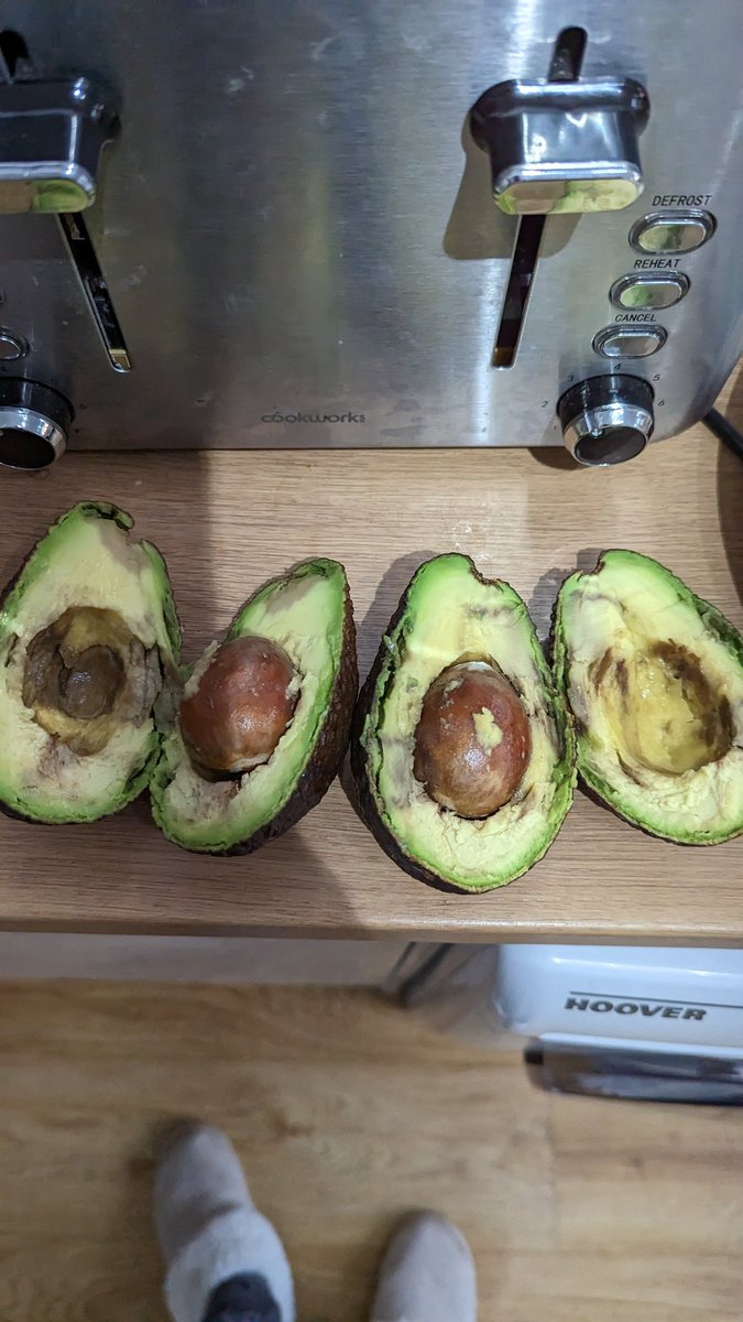 Dads_The_Word's tweet photo. @sainsburys just received these two avocados in the shopping delivery. They felt soft AND they looked like this. Doesn't seem quite right https://t.co/BMgiwI7g8r