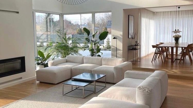 wandervoyage's tweet photo. Houses filled with sunshine and plants ☀️🪴🌱 https://t.co/OC5gpvgIWg