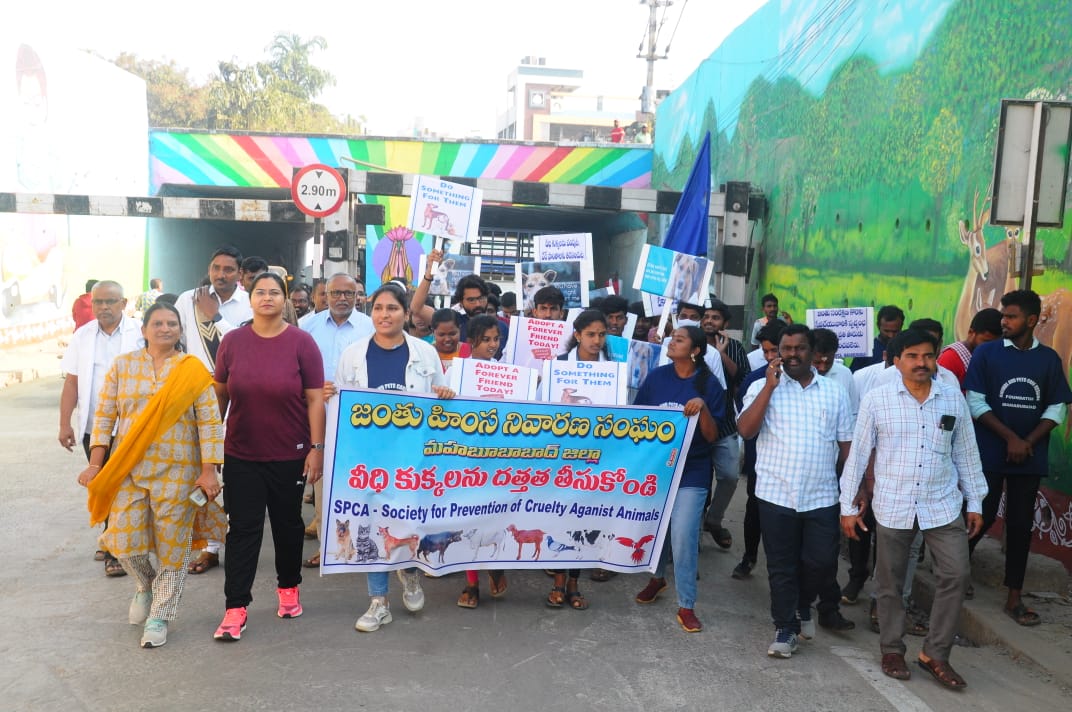 Abhilasha18IAS's tweet photo. Rally under prevention of cruelty to animals-SPCA.Reflective collar bands on all vaccinated dogs to prevent night accidents .
#Let's be kind to all those around us including Animals.
#AnimalWelfare
#environmentbalance
#animalrights

@pfaindia  @FIAPOIndia @WWF @Manekagandhibjp https://t.co/Dk2agkd7gC