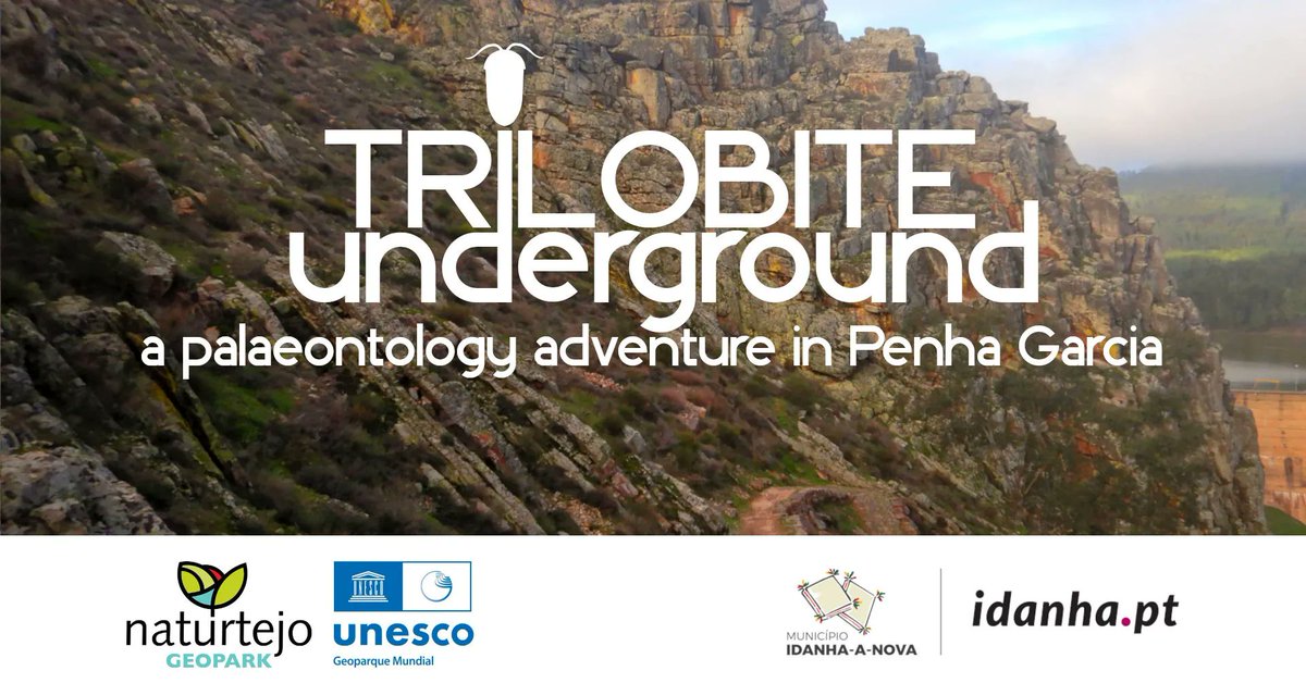 ABaucon's tweet image. I travelled from Italy to #Portugal by train... for developing a #paleontology #videogame. Here I was in #Montpellier, discovering its beautiful #streets and #fossils!
---
#fossil #palaeontology #science #videogames #gaming #gamer #videogame #pc #pcgaming #gamingcommunity