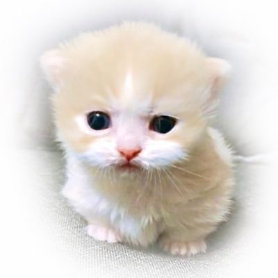 <a href="/kindburp/">Poobert</a>