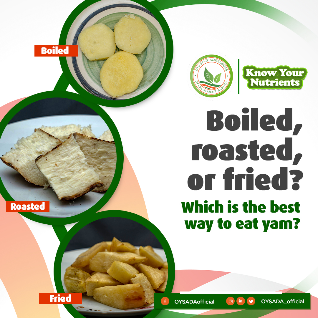 Oyo State Agribusiness Development Agency (OYSADA) on Twitter "Yam is rich in fibre, potassium
