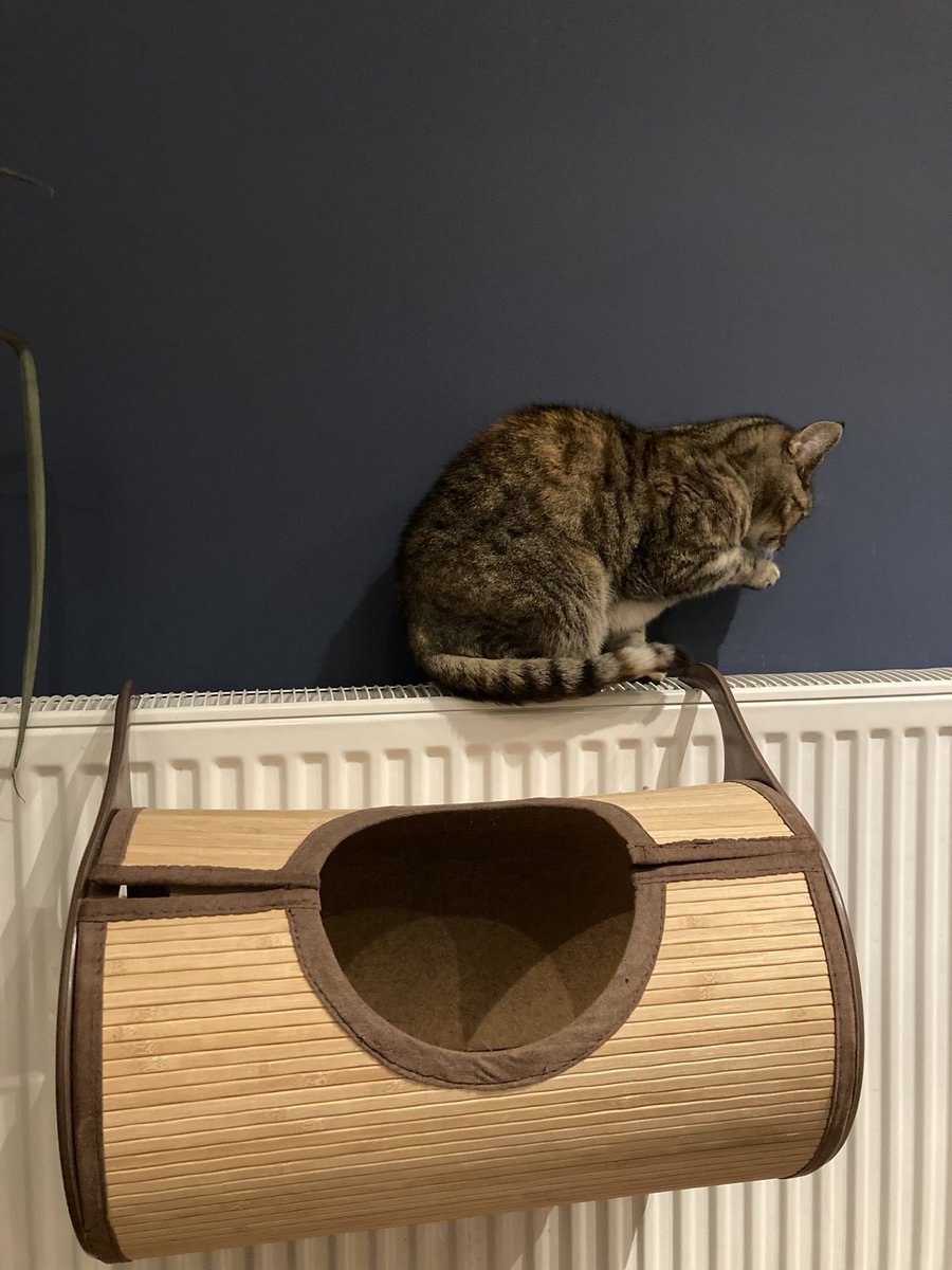@GuyDorrellEsq Yesterday morning’s walk.
The cat’s radiator bed not warm enough so she sit straight on the radiator.
WFH
Cold
Radio4Today: business insolvencies on the up by 1/3. Again no mention of BrExit.
#FreeTheLeopards
Have a good day all!
#SlavaUkraini