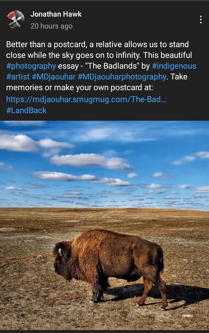 On the Plains of South Dakota, the Land is 'infinity' with the sky. We could see the buffalo Days away! Mitakuye O'yasin. ⚪🟡🔴⚫ (screenshot, this is on Jonathon Hawk's YouTube channel.) 
#BuffaloNation 
#AmericanIndianMovement 
#LandBack