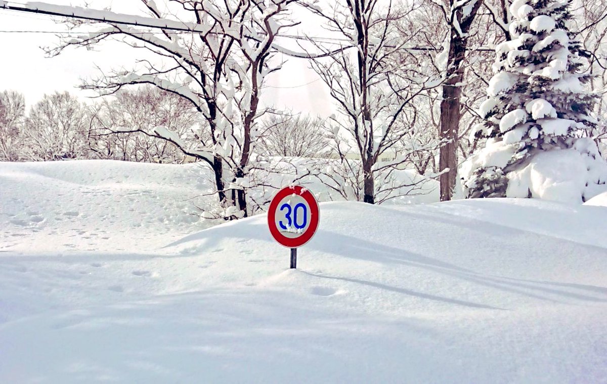 「今回の寒波も凄いらしいけど去年経験した「100年に一度の大雪」を見てほしい 」|犬縞のイラスト