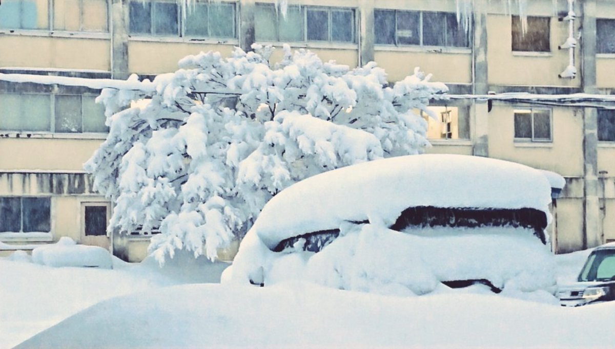 「今回の寒波も凄いらしいけど去年経験した「100年に一度の大雪」を見てほしい 」|犬縞のイラスト