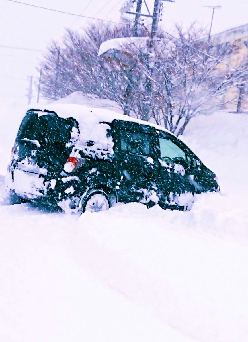 「今回の寒波も凄いらしいけど去年経験した「100年に一度の大雪」を見てほしい 」|犬縞のイラスト