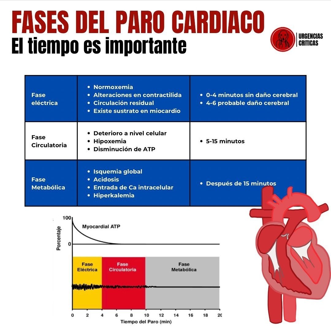 AldecoBravo's tweet photo. Fases del paro cardíaco https://t.co/KRhWDViBy9