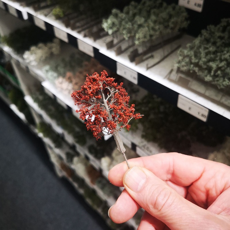 4Dmodelshop's tweet photo. Copper Beech #modeltree available in 3 sizes 42 - 60mm all hand built on-site by our Scenics Team https://t.co/FKpWo8maIz #architecture #modelrail #modelmaking https://t.co/Tsguwh52We