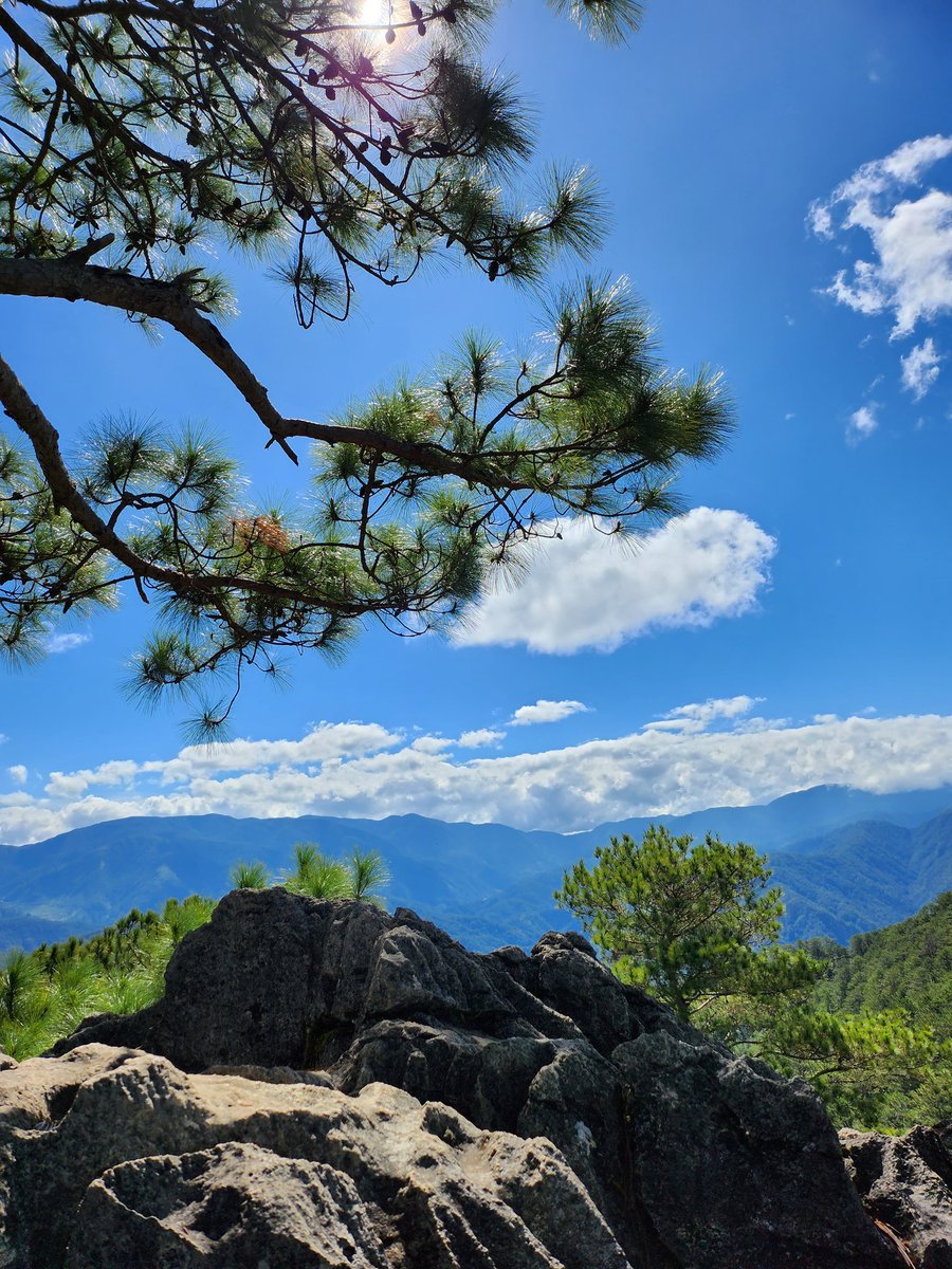 grapefruitSyrup's tweet photo. Nature lover moment! https://t.co/bHZ2nbqdZ6