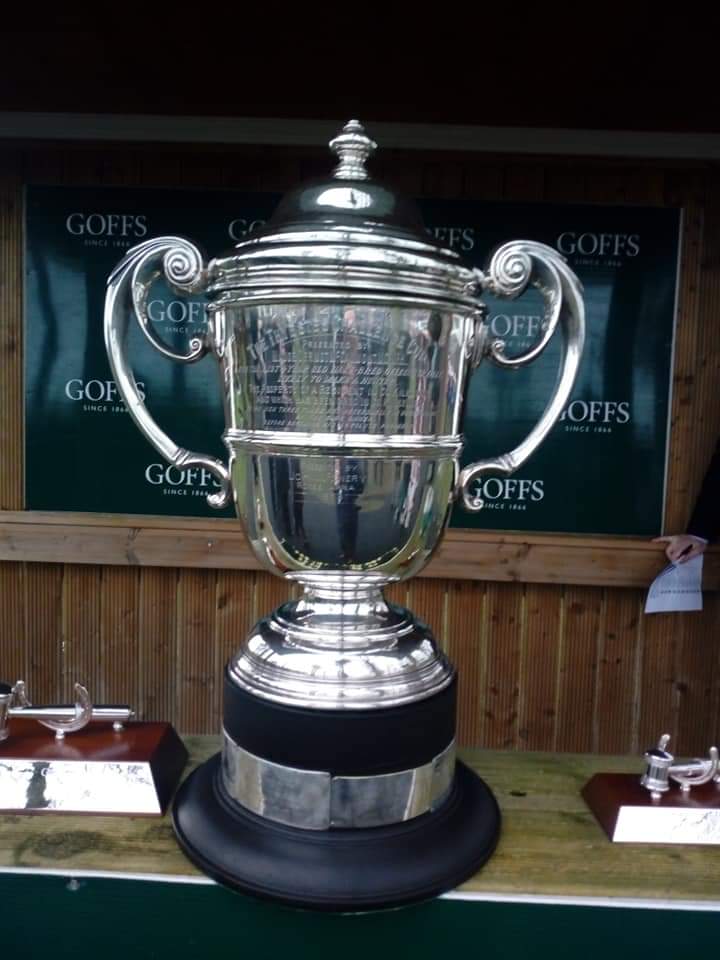 JoeSeward1's tweet photo. FOUR YEARS AGO TODAY
@GowranPark1 2019
The @Goffs1866 Thyestes went to #InvatationOnly and @Ruby_Walsh for Graham & Andrea Wylie and trainer
@WillieMullinsNH a graduate of @MonbegStables a winner of his P2P at @BallynoeP2P
The winner well supported fav.
#Gowran
#HorseRacing https://t.co/tu99T4pEBE