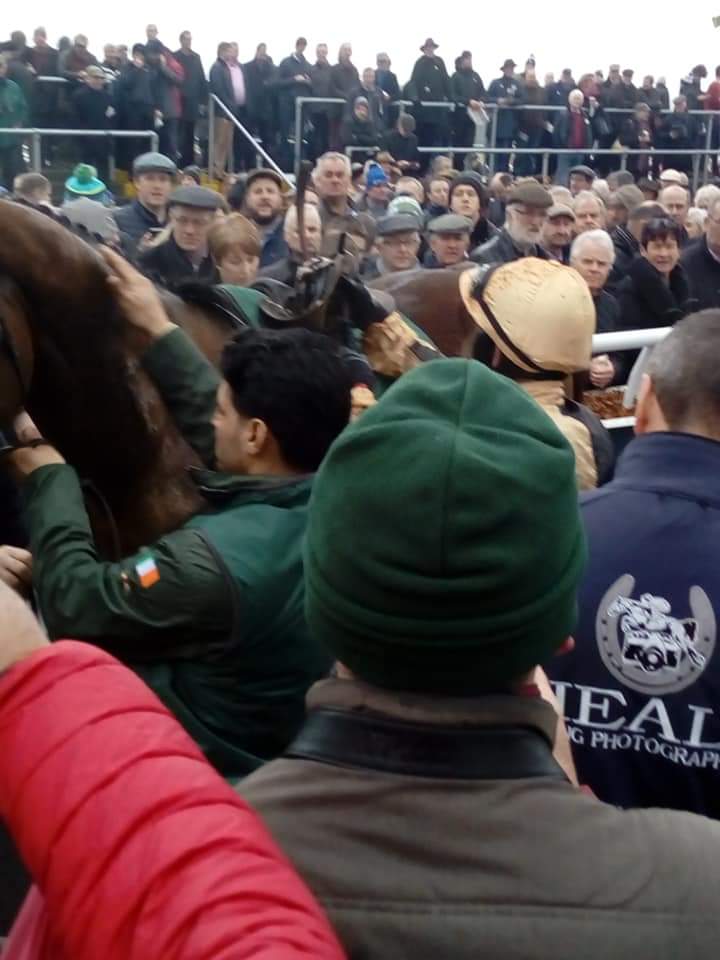 JoeSeward1's tweet photo. FOUR YEARS AGO TODAY
@GowranPark1 2019
The @Goffs1866 Thyestes went to #InvatationOnly and @Ruby_Walsh for Graham & Andrea Wylie and trainer
@WillieMullinsNH a graduate of @MonbegStables a winner of his P2P at @BallynoeP2P
The winner well supported fav.
#Gowran
#HorseRacing https://t.co/tu99T4pEBE