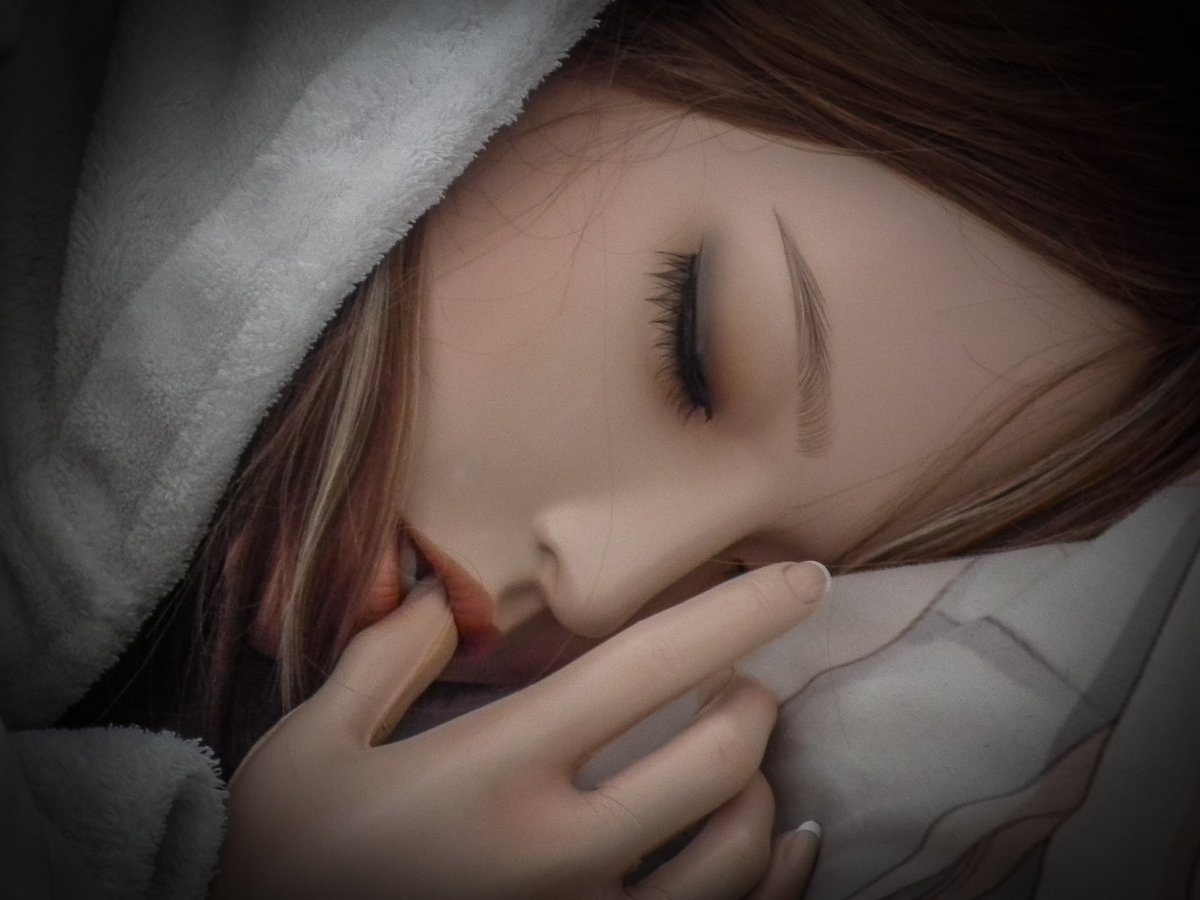 AllieHolics's tweet photo. Aiko: Do NOT disturb...  💤😴 https://t.co/Gx990EggXK
