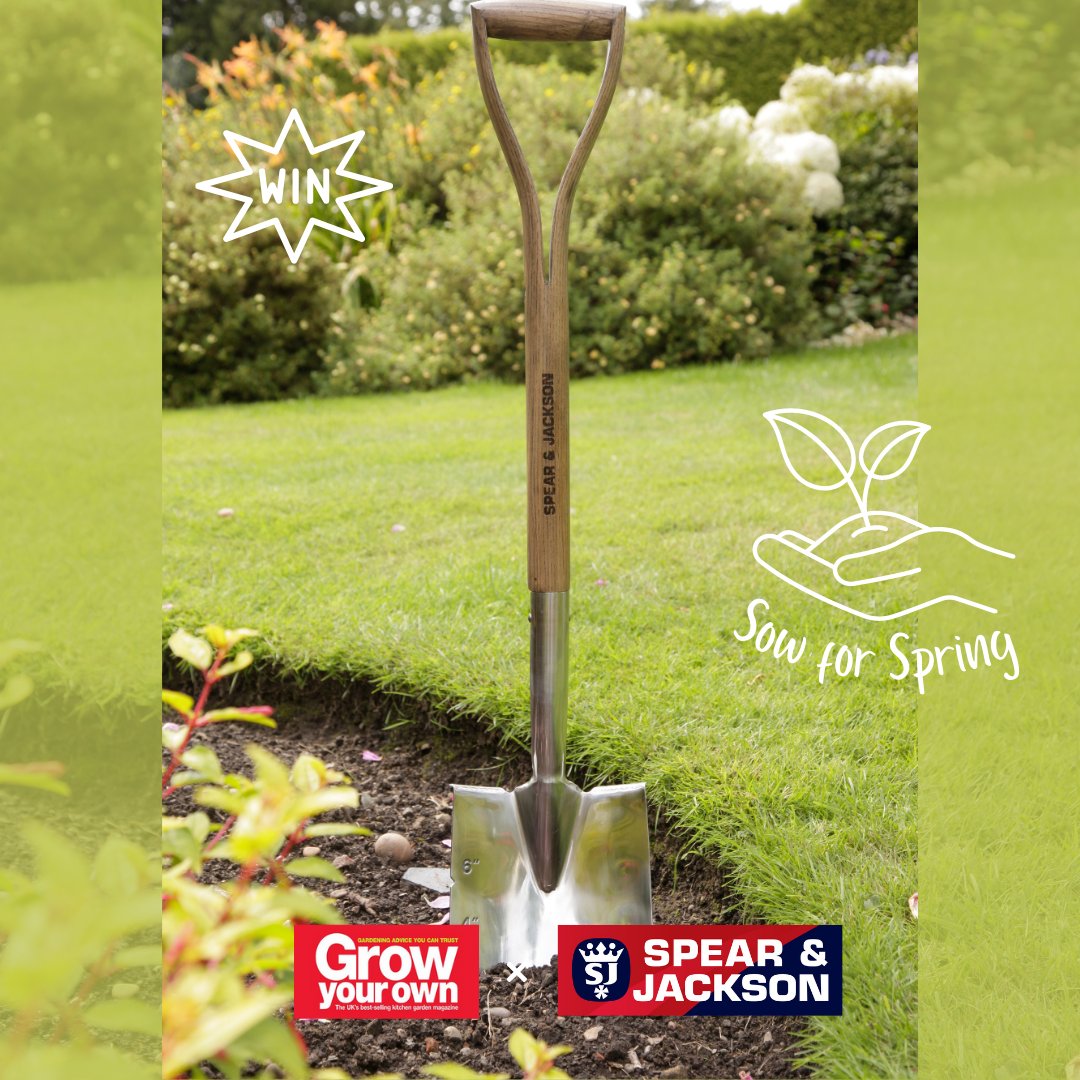 GYOmag's tweet photo. WIN! Our next #SowforSpring Instagram giveaway has just gone live! 🌱 

Check out our latest Instagram post for the chance to win a Traditional Stainless Planting Spade from @spearandjackson. You could be one of two lucky winners!

👇

https://t.co/pZRfDj2R6n 

#growyourown #win https://t.co/ICLkQSVwLd