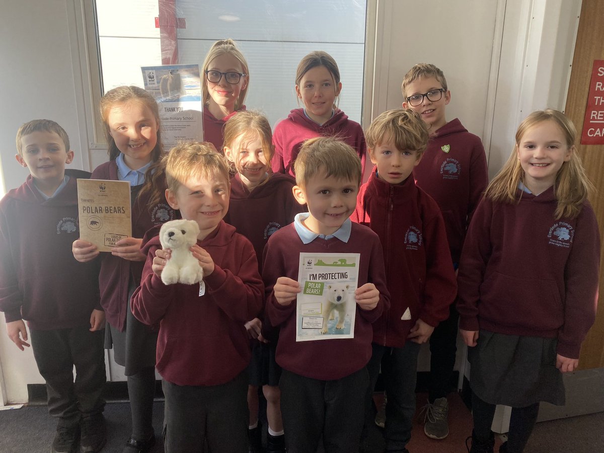 evenlodeps's tweet image. The Eco Committee would like to introduce our new WWF Sponsored Polar Bear! 🐻‍❄️🌍 @EcoSchoolsWales @JulieEcoKWT