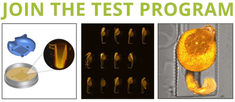IdylleLabs's tweet photo. We are looking for feedback on the technology for #zebrafish #medaka imaging, and are happy to provide a #TestProgram to try them
Registrations close in 58 days. Join here https://t.co/bLi400fVbw https://t.co/UmHsRZnL6I