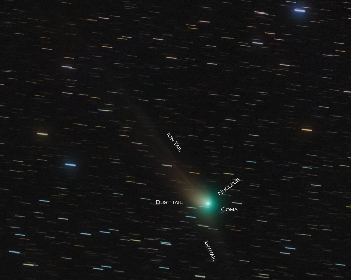 pixelbrew_'s tweet image. "Comet C2022/E3 ZTF"

This was captured on 21st Jan 2023. The comet notably shows the parabolic dust hood 'Coma,' the 'Ion tail,' the "Dust tail," and the unintuitive "Antitail." 

EXiF: 85 * (30s, ISO 6400, 250mm, F4.9)

Nikon Z6-WO RC51

#cometZTF 
#cometc2022e3 
#apod