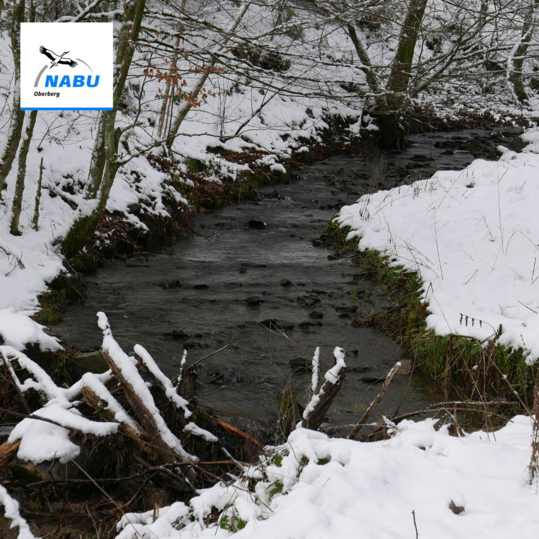 Winterwetter lässt unser Baustelle ruhen. Viel geschafft - viel zu tun vor der #Amphibienwanderung 2023.