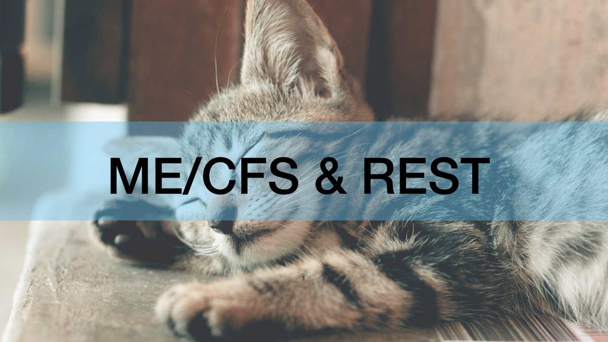 simonpimenta's tweet photo. #MECFS And Rest https://t.co/GWYsrpCQFv via @YouTube
What rest is/isn't and how what we do can hinder or support recovery
#mecfsrecovery #cfsrecovery #longcovidrecovery #cfs #fibromyalgia #chronicfatiguesyndrome #longcovid #neuroplasticity #braintraining https://t.co/n6N1C6Vs3z