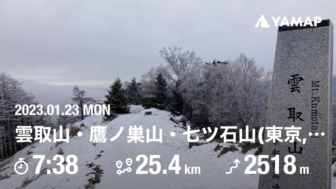 うさぎのようなもの tweet media