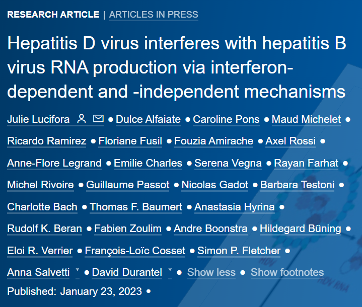 JHepatology's tweet photo. 🆕Article in press❕

#HepatitisD virus interferes with #hepatitisB virus RNA production via interferon-dependent and -independent mechanisms

Read it here👉https://t.co/Tx6TRF7DXU

@julie_lucifora
#LiverTwitter https://t.co/YwHOTmuXjX