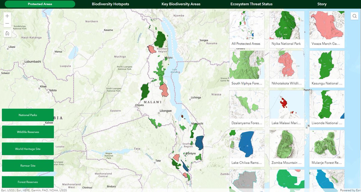 AfricaGeoPortal's tweet photo. This week we feature this outstanding #ArcGISApp on the Status of #Malawi's protected areas which won first prize in category #Forestry, #ProtectedAreas &amp; #Wildlife in the @RCMRD_  2022 #mapcompetition. Congratulations @DicksonMbeya!

Explore > https://t.co/PInC7pjvzk https://t.co/dtPKDZ7hld